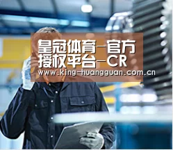 研发能力标题四